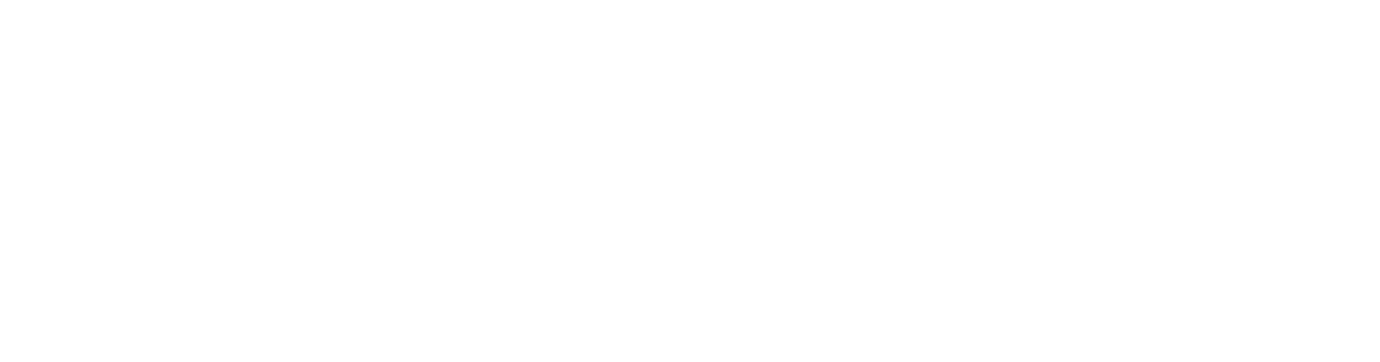 fitco-white-logo